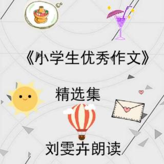 《小学生优秀作文》精选集：我和篮球是朋友