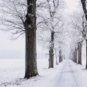 雨巷 - 凌风雪。