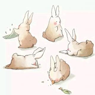 我有三个关于兔子的故事，你想听吗？