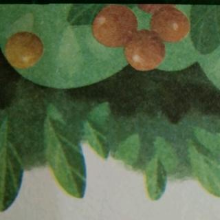 枣树和西瓜藤
