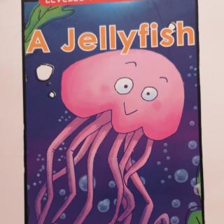 a jellyfish