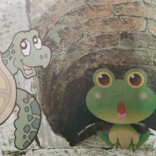 亮哥讲故事《青蛙和海龟》