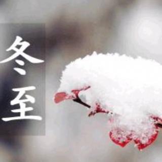 冬至到，宁宁给您送祝福