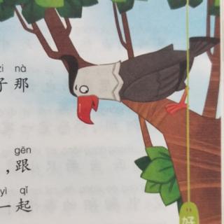 鹰兄弟的不同命运