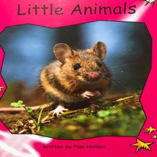 Lucas（Little Animals）