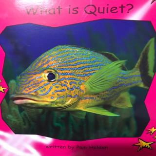 Lucas（What is quiet？）