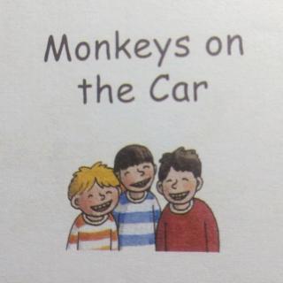 刘雨宸Monkeys on the Car