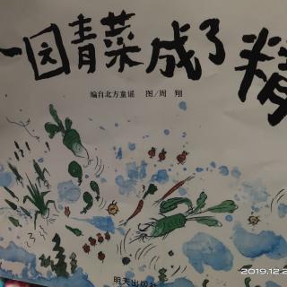 县幼儿园中七班林赫凡《一园青菜成了精》