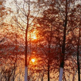 半亩花田《赶在大雪和衰老之前》