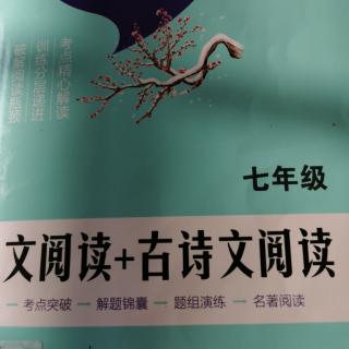 《奶奶的粽子》