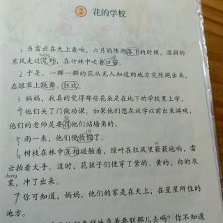 宸宸读《花的学校》