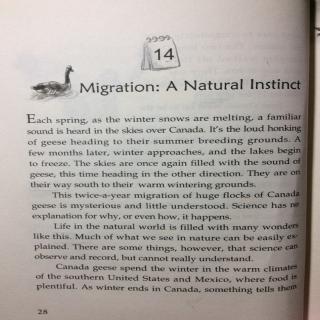 10-14 Migration:A Natural