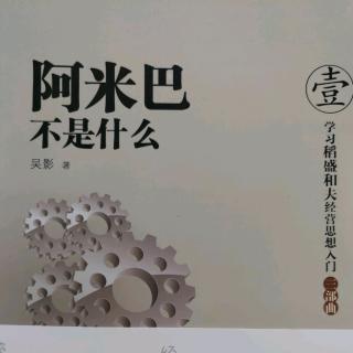 《阿米巴不是什么》2.视阿米巴包治百病 救企业疾立竿见影