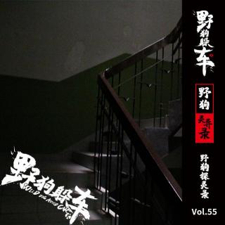 野狗探灵录Vol.55 - 真实事件簿
