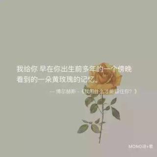 《我用什么才能留住你》作者 博尔赫斯2