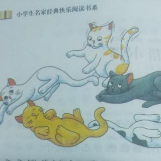 “老鼠帮小猫”读写提示