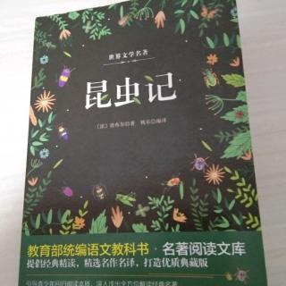 《昆虫记》之绿蚱蜢和隧蜂门卫