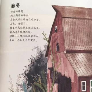 《藤蔓》作者·谢茹