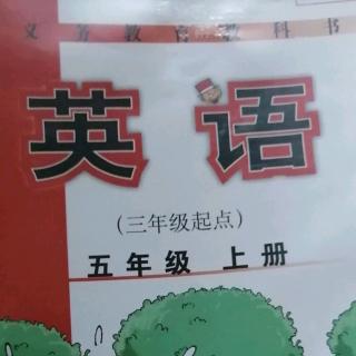 英语作业