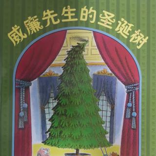 威廉先生的圣诞树🎄