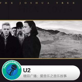 糖蒜爱音乐之音乐故事：U2