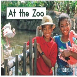 At the Zoo