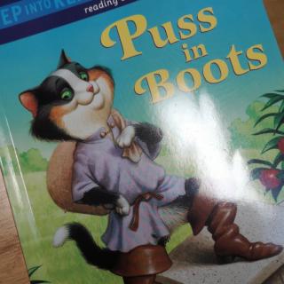 Puss in Boots by Darcy