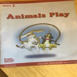 Animals play