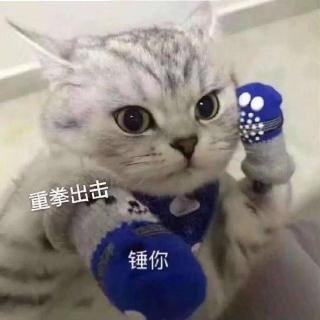 教师职业道德规范