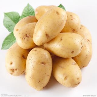 1阶 I like potatoes.