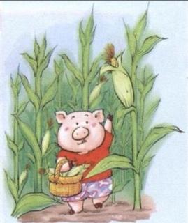 金鼎实验幼儿园睡前故事620—《小猪种玉米》