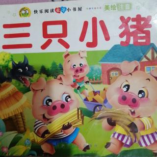 诸城市文化路幼儿园中一班王硕小朋友讲故事第4期《三只小猪》