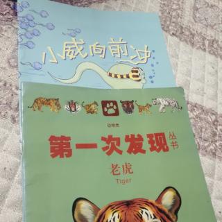 小威向前冲＋第一次发现老虎