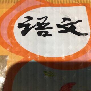 阅读考点梳理