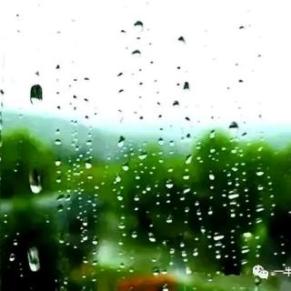 冰之焰：听一场冬雨潇潇（杨青：半山听雨）