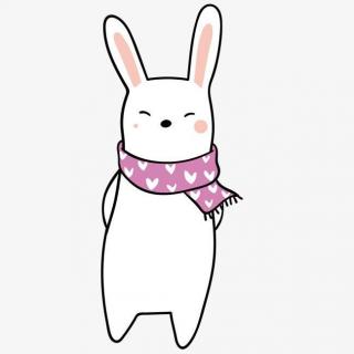 兔子的围巾