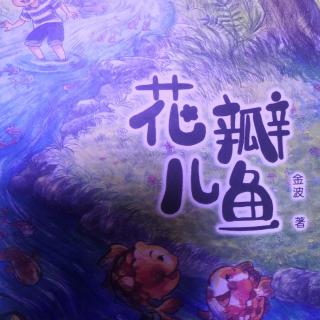 花瓣儿鱼之烛光里的蝶尾鱼