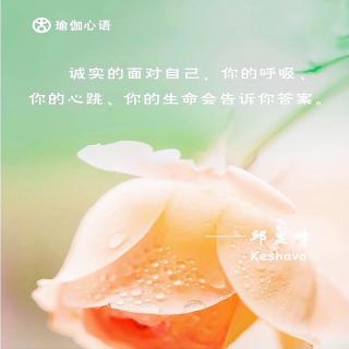 任性一点，别那么懂事 - 🌸婧🌸🍀