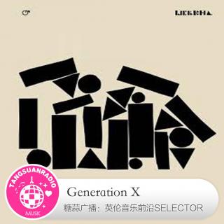 糖蒜爱音乐之The Selector：Generation X