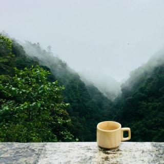 友谊似茶，相逢是缘 - 晓于