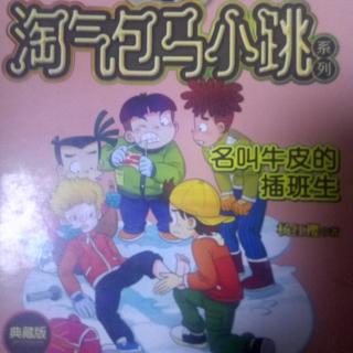 《淘气包马小跳 名叫牛皮的插班生》：取一个中国名字叫“牛皮”