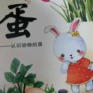 诸城市文化路幼儿园中一班王硕小朋友讲故事第6期《蛋》