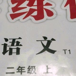 单元四姜浩然