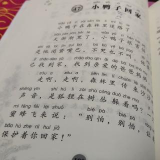 《小鸭子回家》