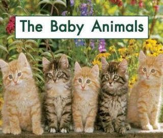The Baby Animals