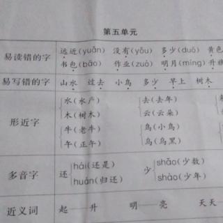 知识点第五单元