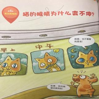 猫🐱的眼睛为什么变不停？-20200102