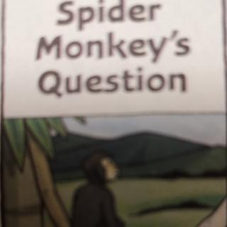 Spider Monkey's Question