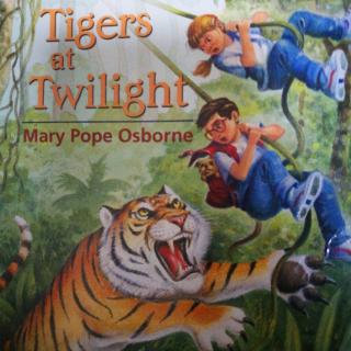 Tigers At Twilight(1)