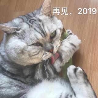 2019年过去了，我并不怀念